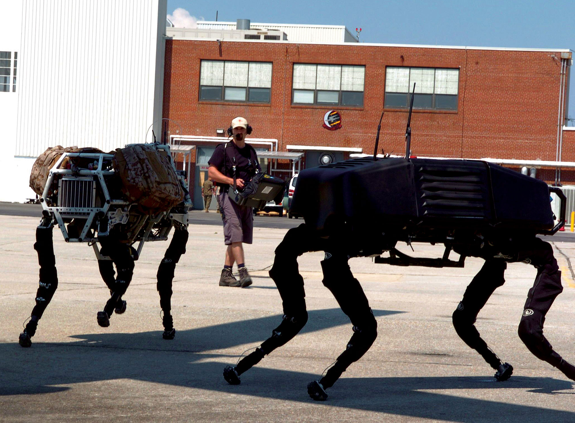 BigDog Robot