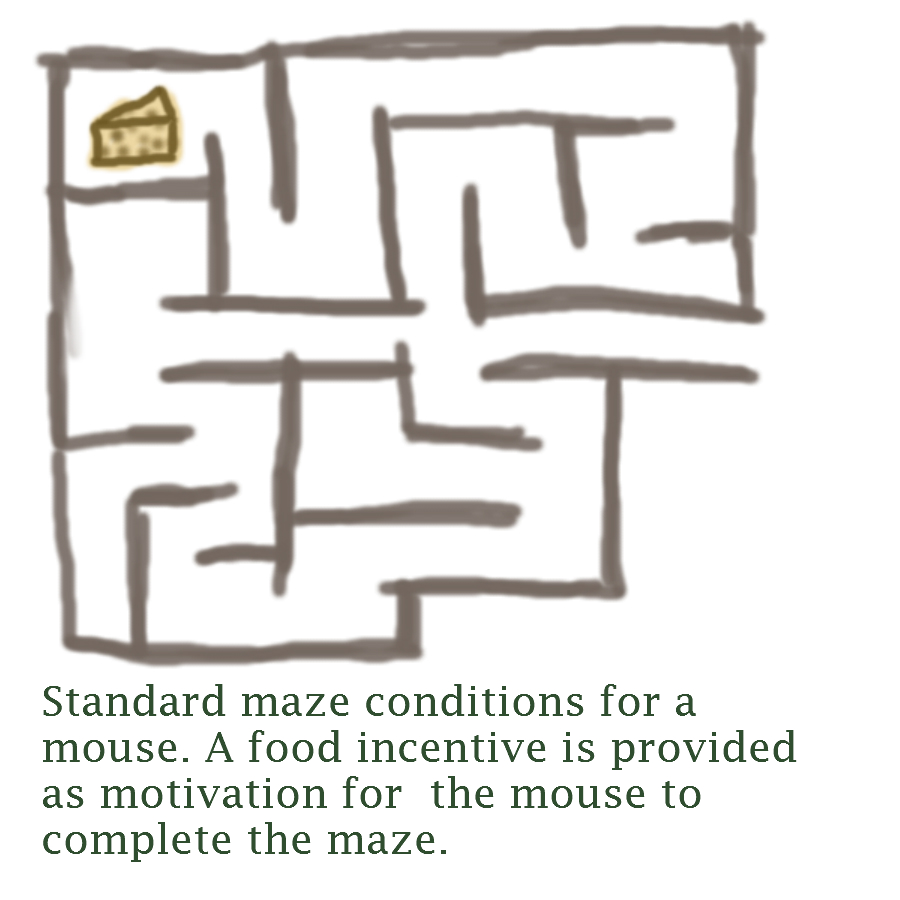 Maze Mouse Cheese